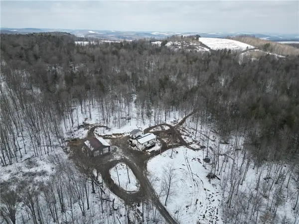 813 County Route 99, Woodhull, NY 14898