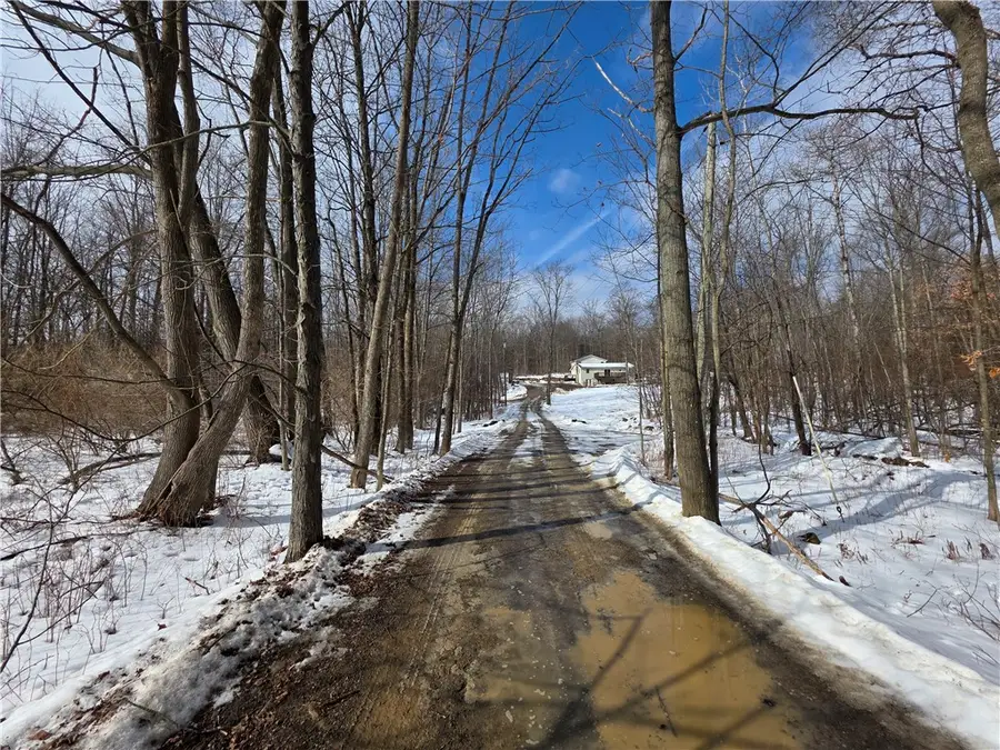 813 County Route 99, Woodhull, NY 14898 - #2