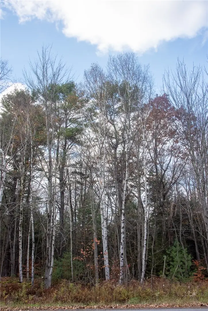 Woodland Drive, Jefferson, NY 12093 - #3