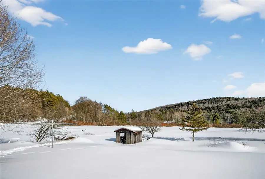 380 Baptist Church Road, Charlotteville, NY 12036 - #3