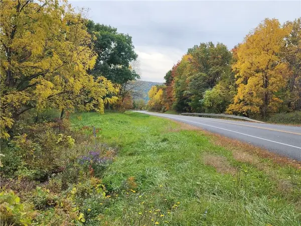 00 County Road 12, Naples, NY 14512