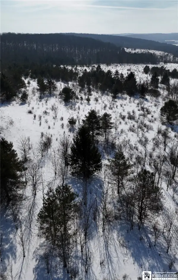 2644 Reynolds Road, Franklinville, NY 14060