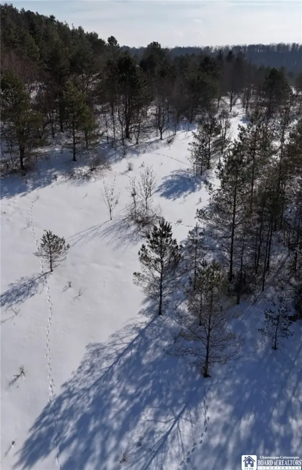 Reynolds Road, Franklinville, NY 14737