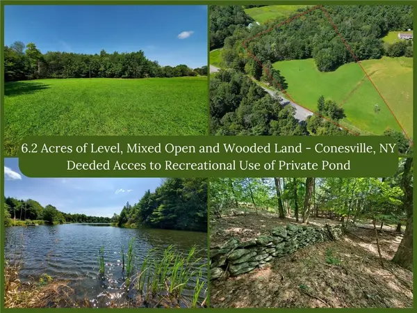 Lot 10 Bull Hill Road, Gilboa, NY 12076