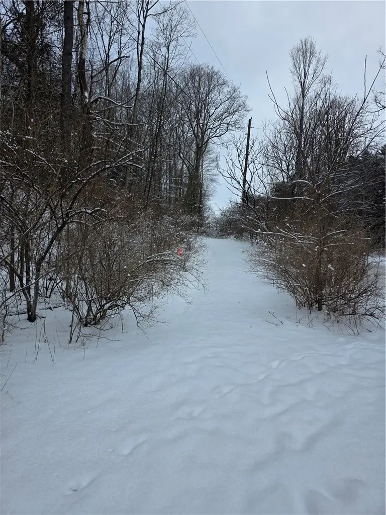 Mormon Hollow Road, Corning, NY 14830 - #1