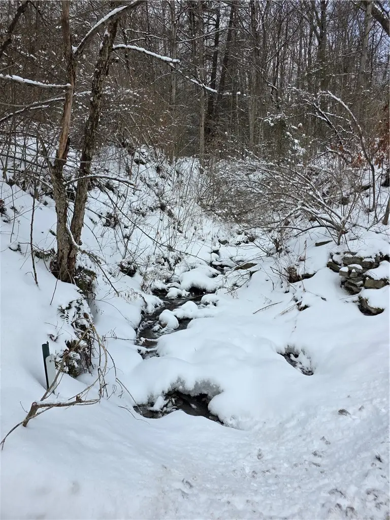 Mormon Hollow Road, Corning, NY 14830 - #3