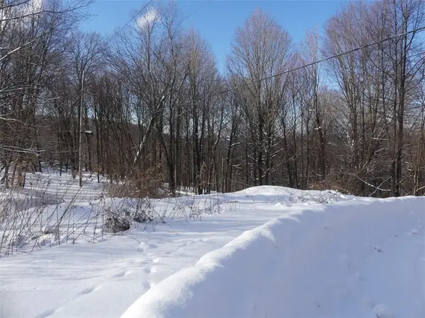 State Highway 28, Andes, NY 13731