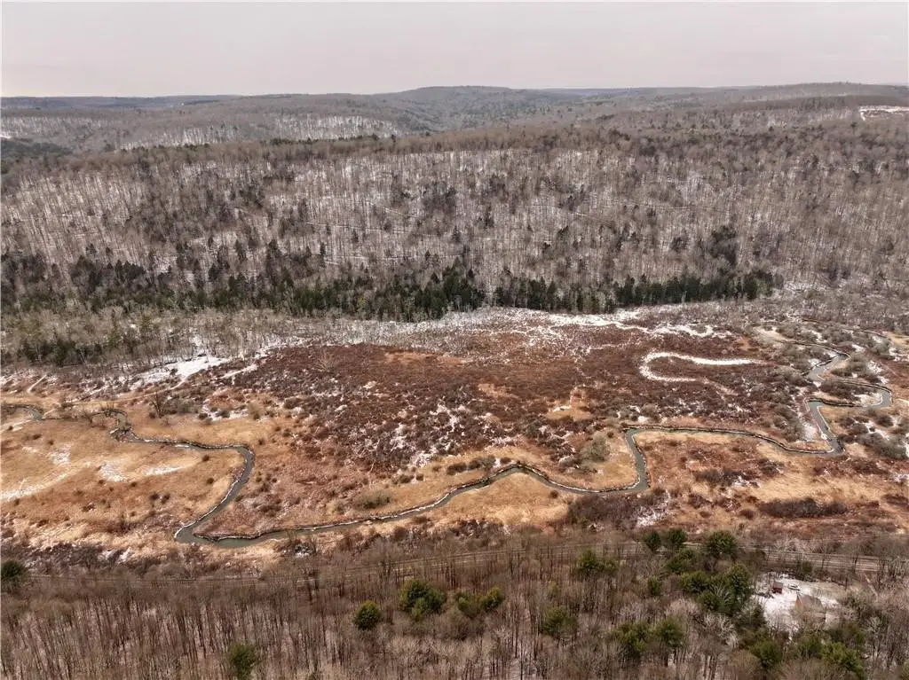 00 Halsey Valley Rd, Spencer, NY 14883 - #1