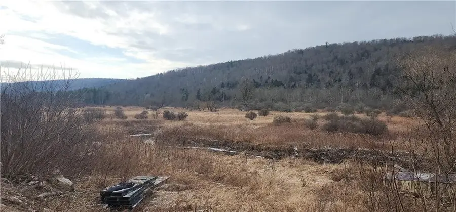 00 Halsey Valley Rd, Spencer, NY 14883 - #2