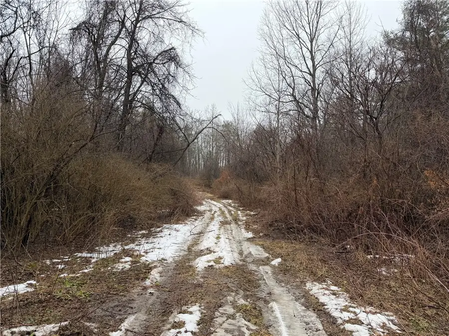 Lakemont Himrod Road, Dundee, NY 14837 - #3