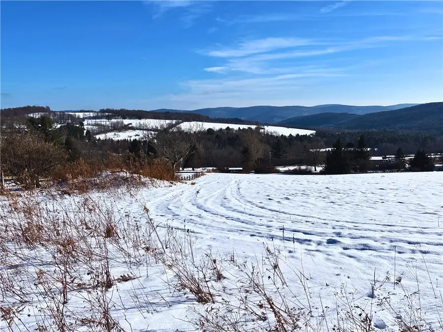 Lot 41 Hamden Hill Road, Hamden, NY 13782 - #2