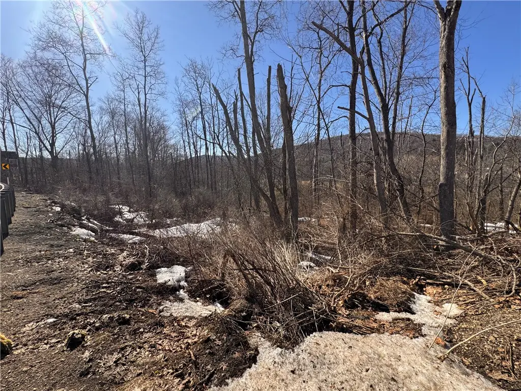 West Corydon Street, Bradford, PA 16701 - #1