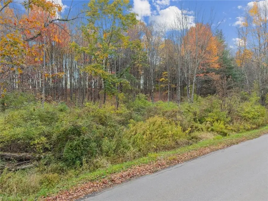0 Dawson Hill Road, Spencer, NY 14883 - #2