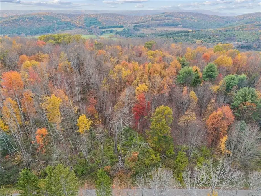 0 Dawson Hill Road, Spencer, NY 14883 - #3