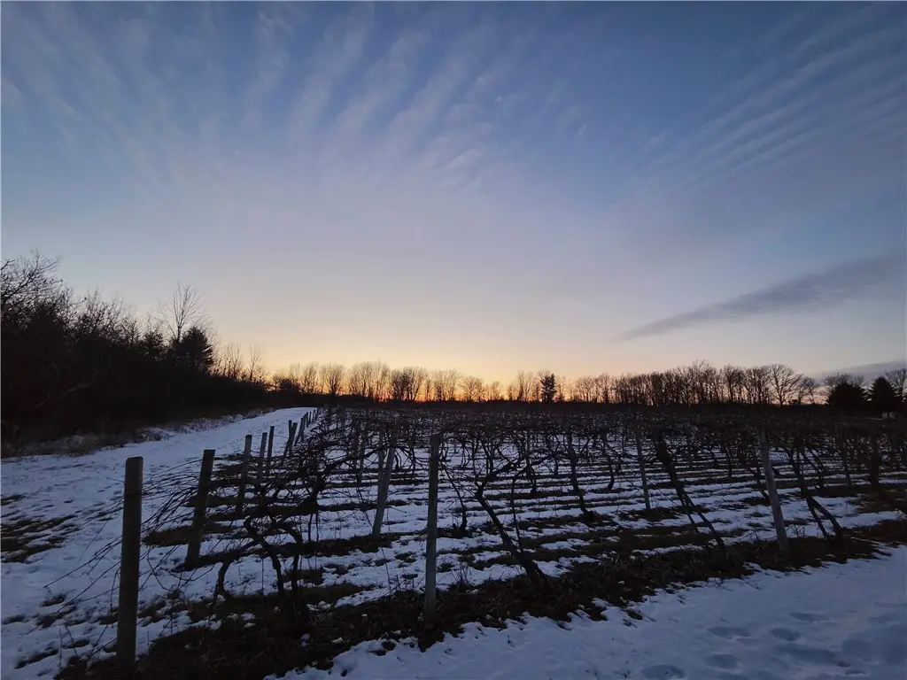 Sutton Road, Jerusalem, NY 14527 - #1