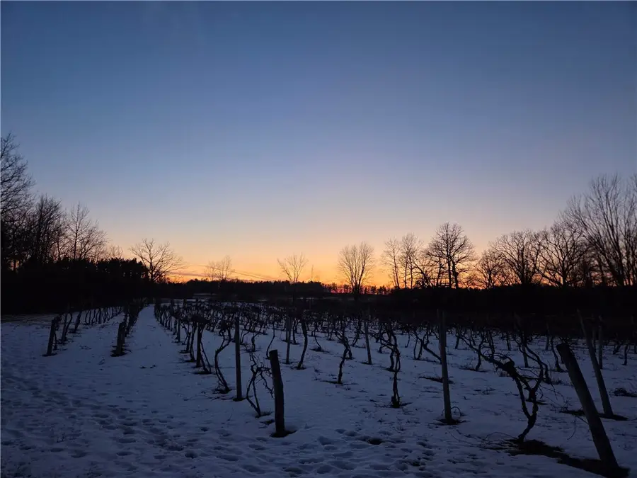 Sutton Road, Jerusalem, NY 14527 - #3