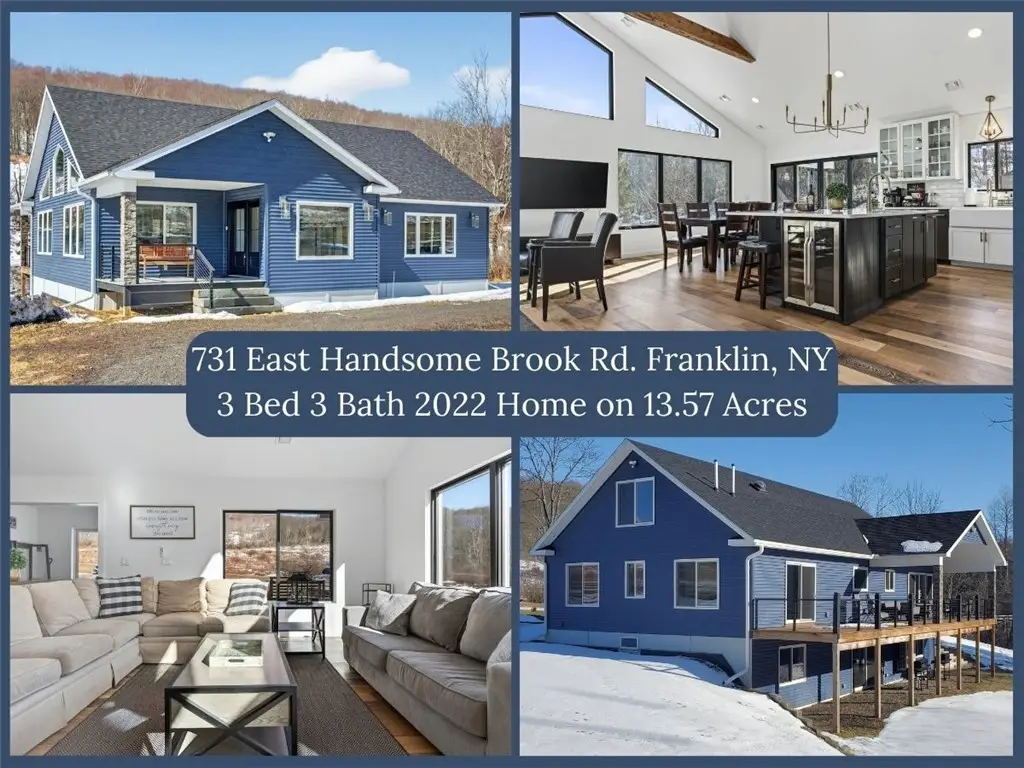 731 East Handsome Brook Road, Franklin, NY 13775 - #1