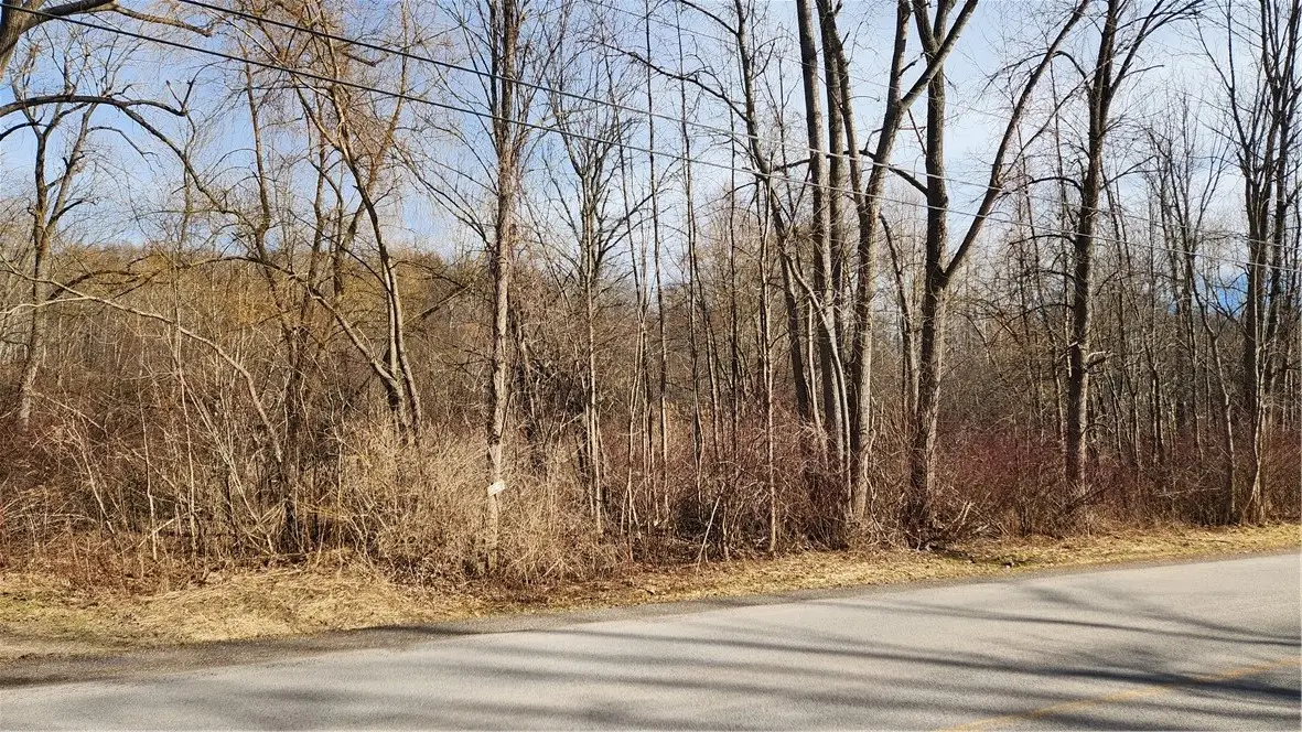 7042 Garner Road, Wolcott, NY 14590 - #1