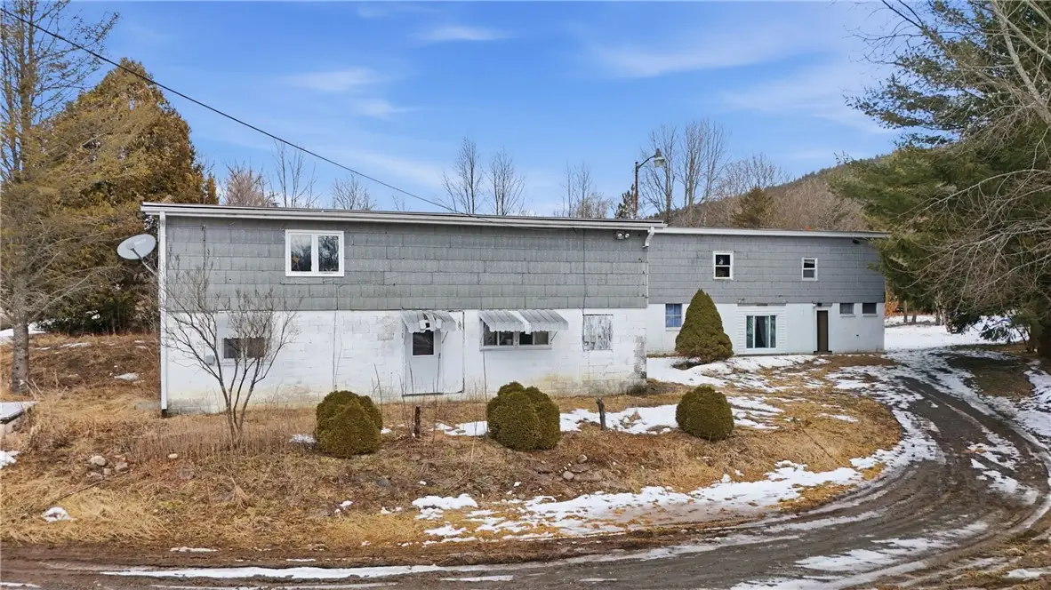 189 Michigan Hollow Road, Spencer, NY 14883 - #1
