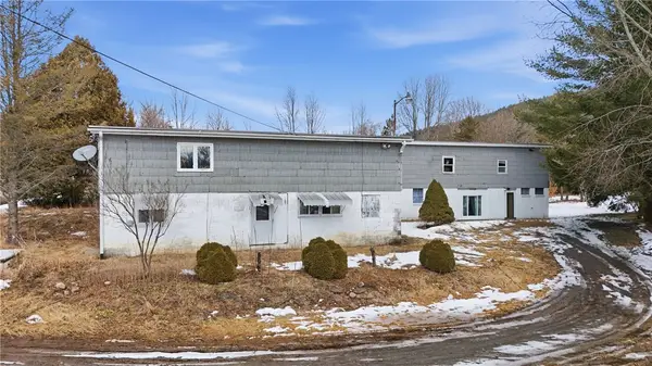 189 Michigan Hollow Road, Spencer, NY 14883