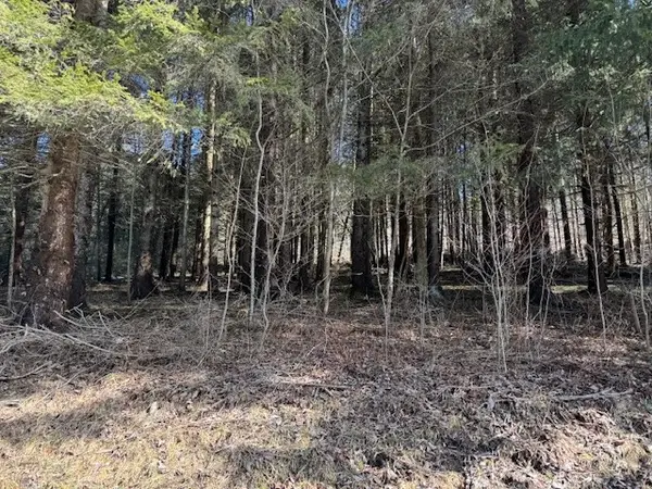 0 Crumtown Road, Spencer, NY 14883