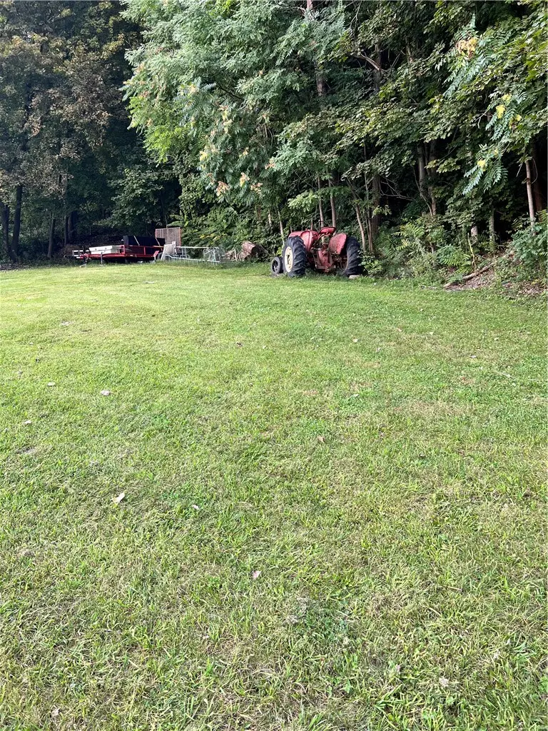 Layton Street, Lyons, NY 14489 - #2