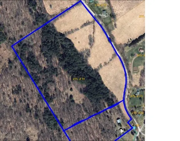 Budine Hill Road, Walton, NY 13856 - #1