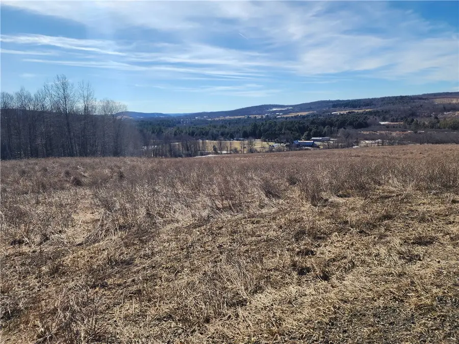 Bolton Road, Burlington Flats, NY 13315 - #3