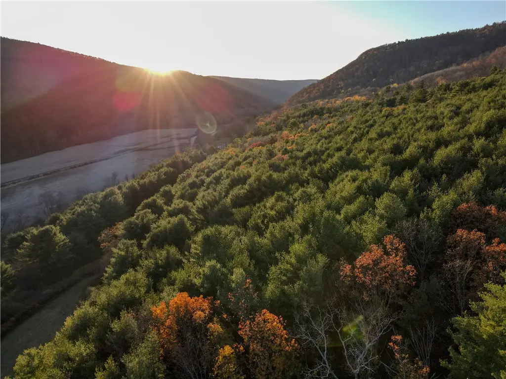 VL Lot 1 County Route 119, Canisteo, NY 14823 - #1