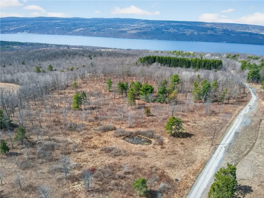 Satterly Hill Road, Burdett, NY 14818 - #3