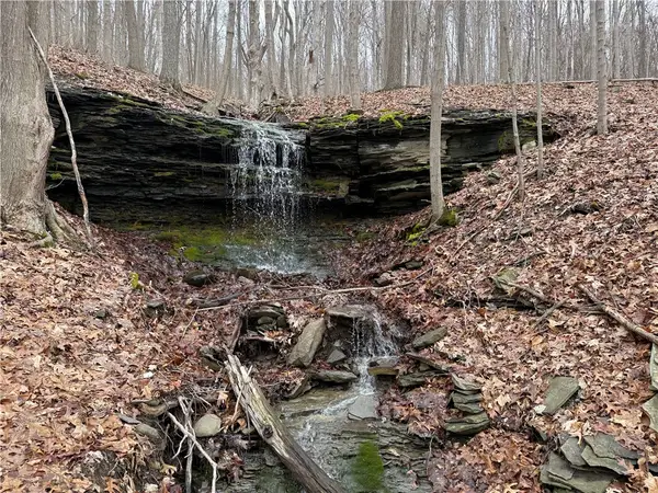 1592 Emerson Road, Middlesex, NY 14507