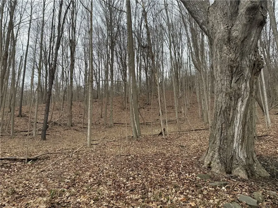 1592 Emerson Road, Middlesex, NY 14507 - #3