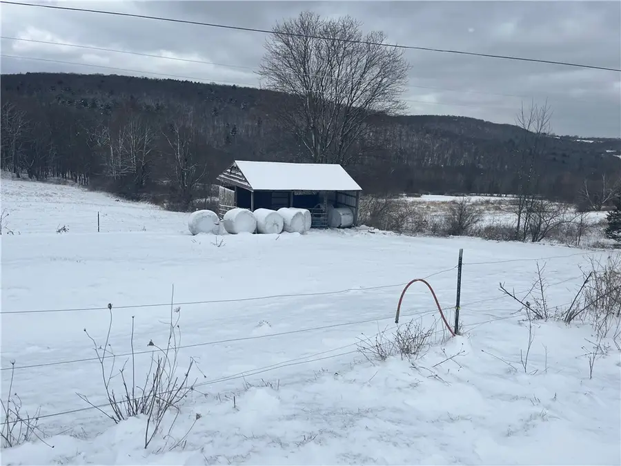 335 Cooper Hill Road, Van Etten, NY 14889 - #3