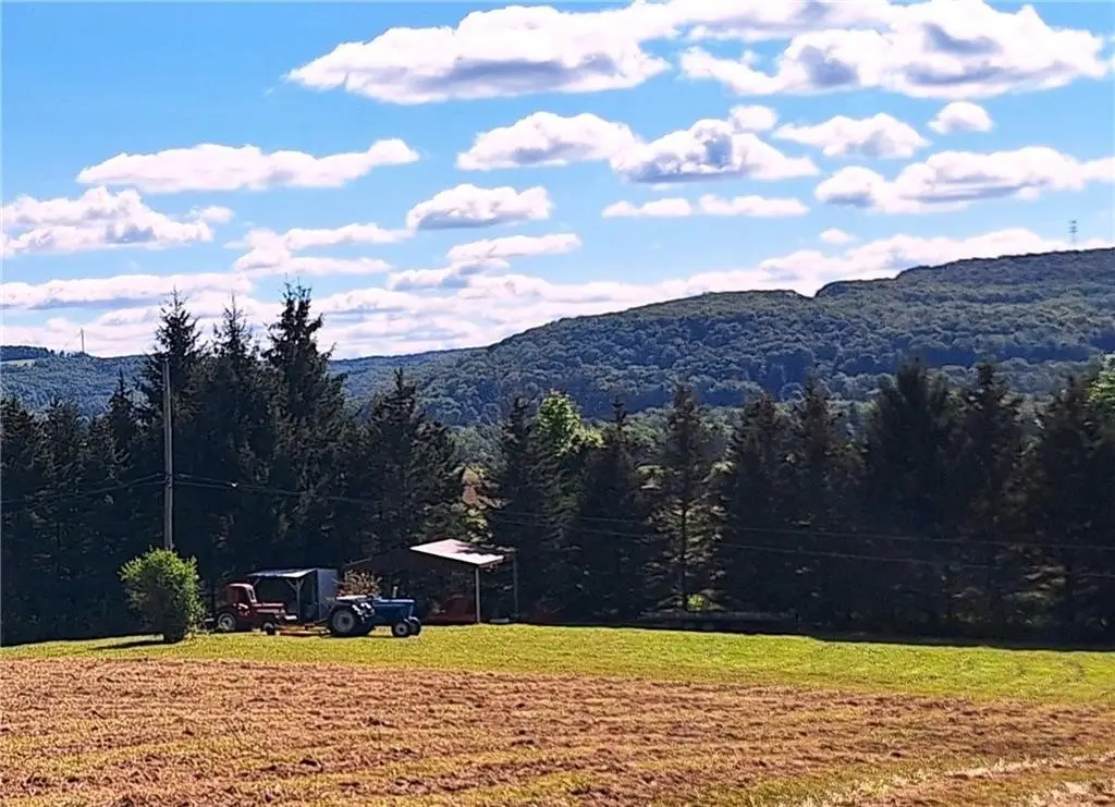 Rt-21 N, Wayland, NY 14572 - #1