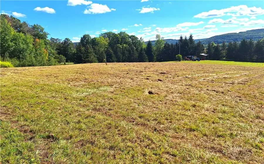 Rt-21 N, Wayland, NY 14572 - #2