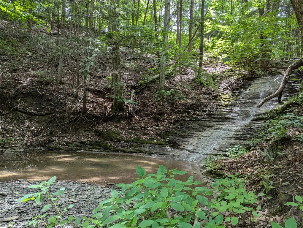 Elmira Road, Newfield, NY 14867 - #1