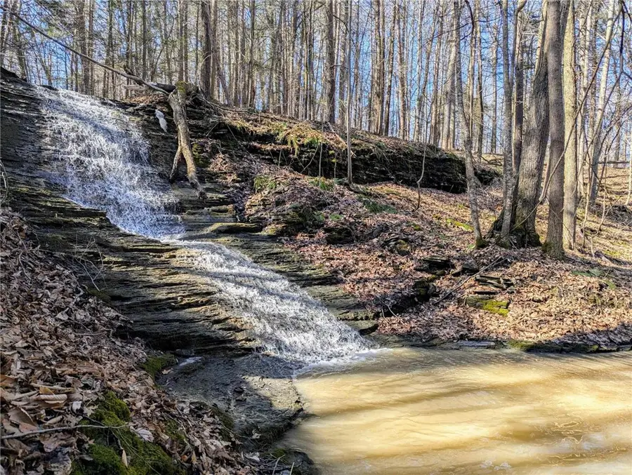 Elmira Road, Newfield, NY 14867 - #3