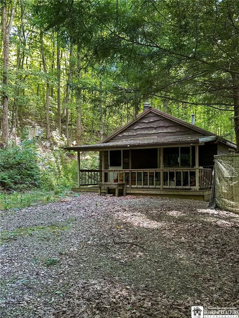 867 Lippert Hollow Road, Allegany, NY 14706 - #1