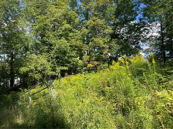 19.221 Turnpike Road, East Meredith, NY 13757