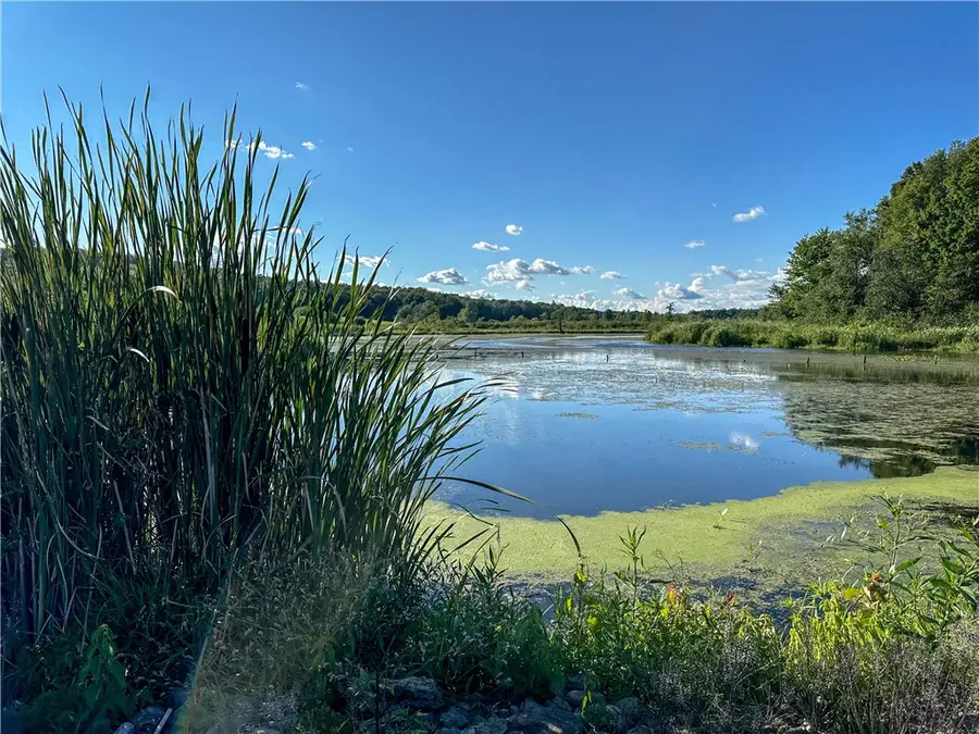 VL Kidder Road, Sherman, NY 14781 - #2