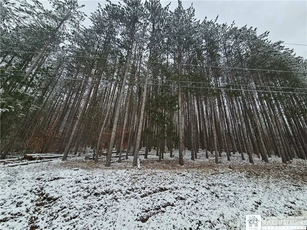 Butternut Brook Road, Portville, NY 14770 - #1