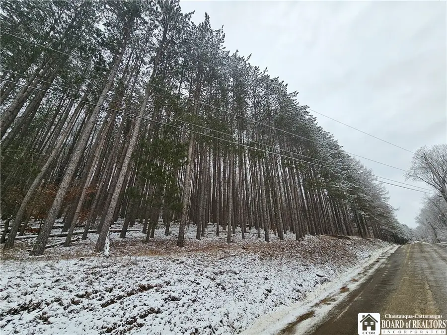 Butternut Brook Road, Portville, NY 14770 - #2