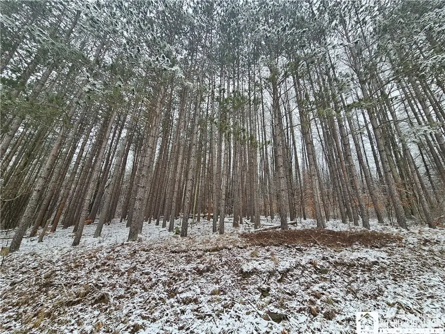 Butternut Brook Road, Portville, NY 14770 - #3