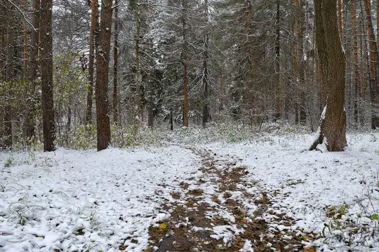 0 Spring Road S, Dansville, NY 14437