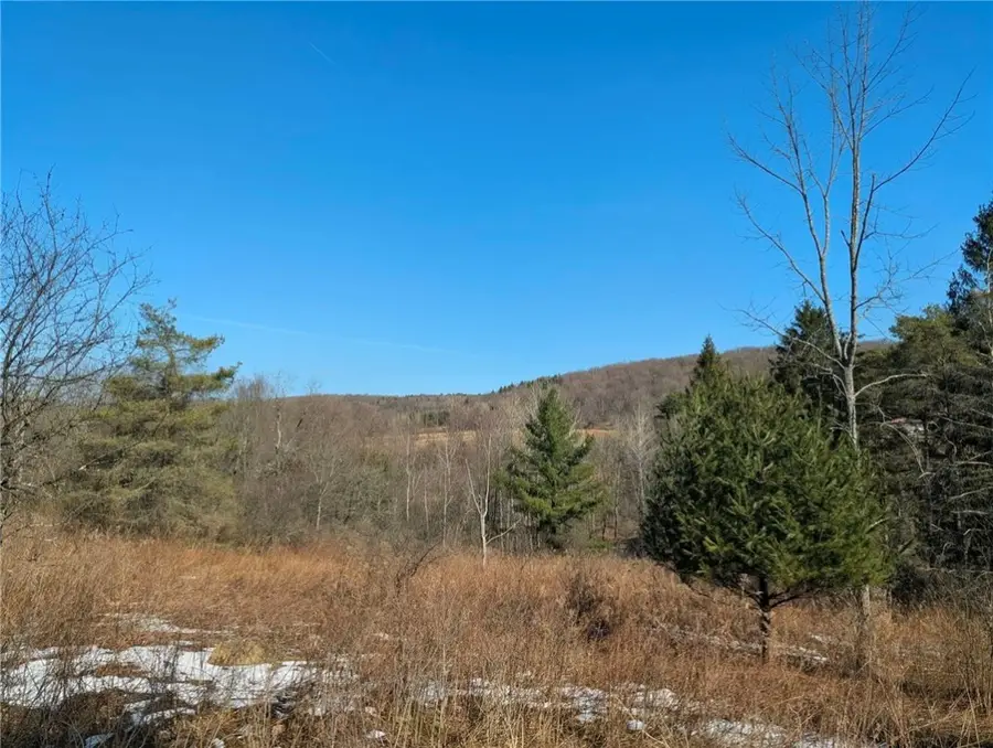 0 Old Seventy Six Road, Brooktondale, NY 14817 - #3