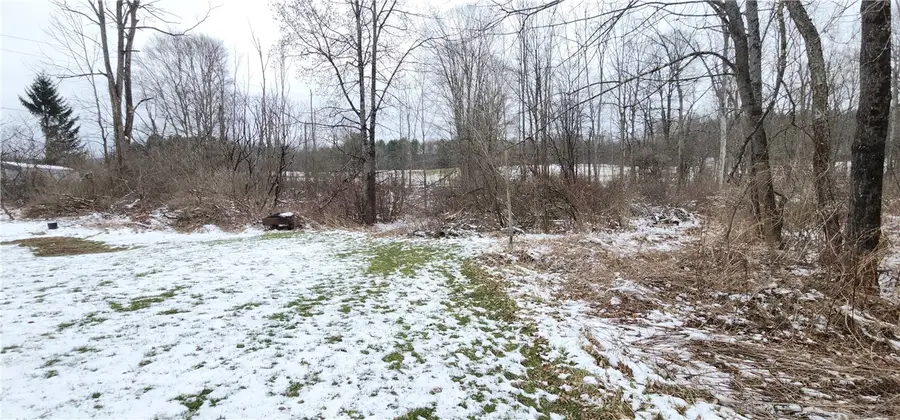 186 Fisher Settlement Rd, Spencer, NY 14883 - #2