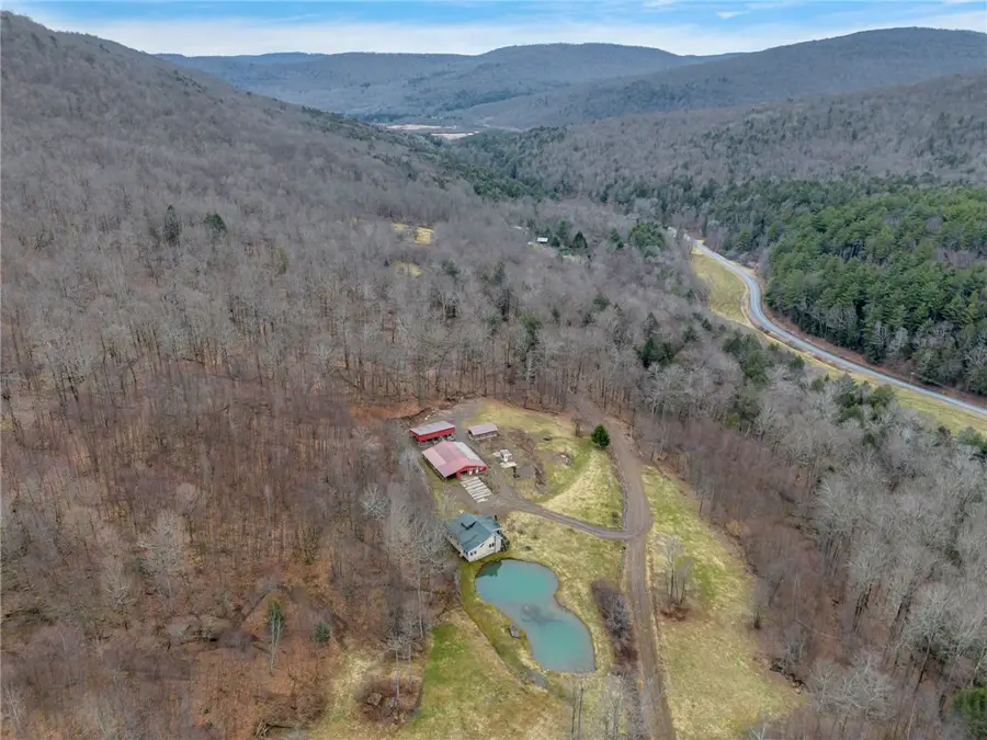 540 Lewis Road, Walton, NY 13856 - #2