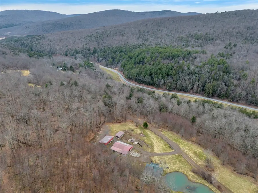 540 Lewis Road, Walton, NY 13856 - #3