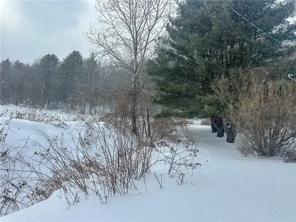 Buffalo Street, Wayland, NY 14572