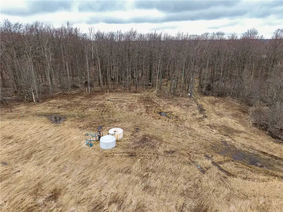 Engdahl Road, Charlotte, NY 14782 - #2